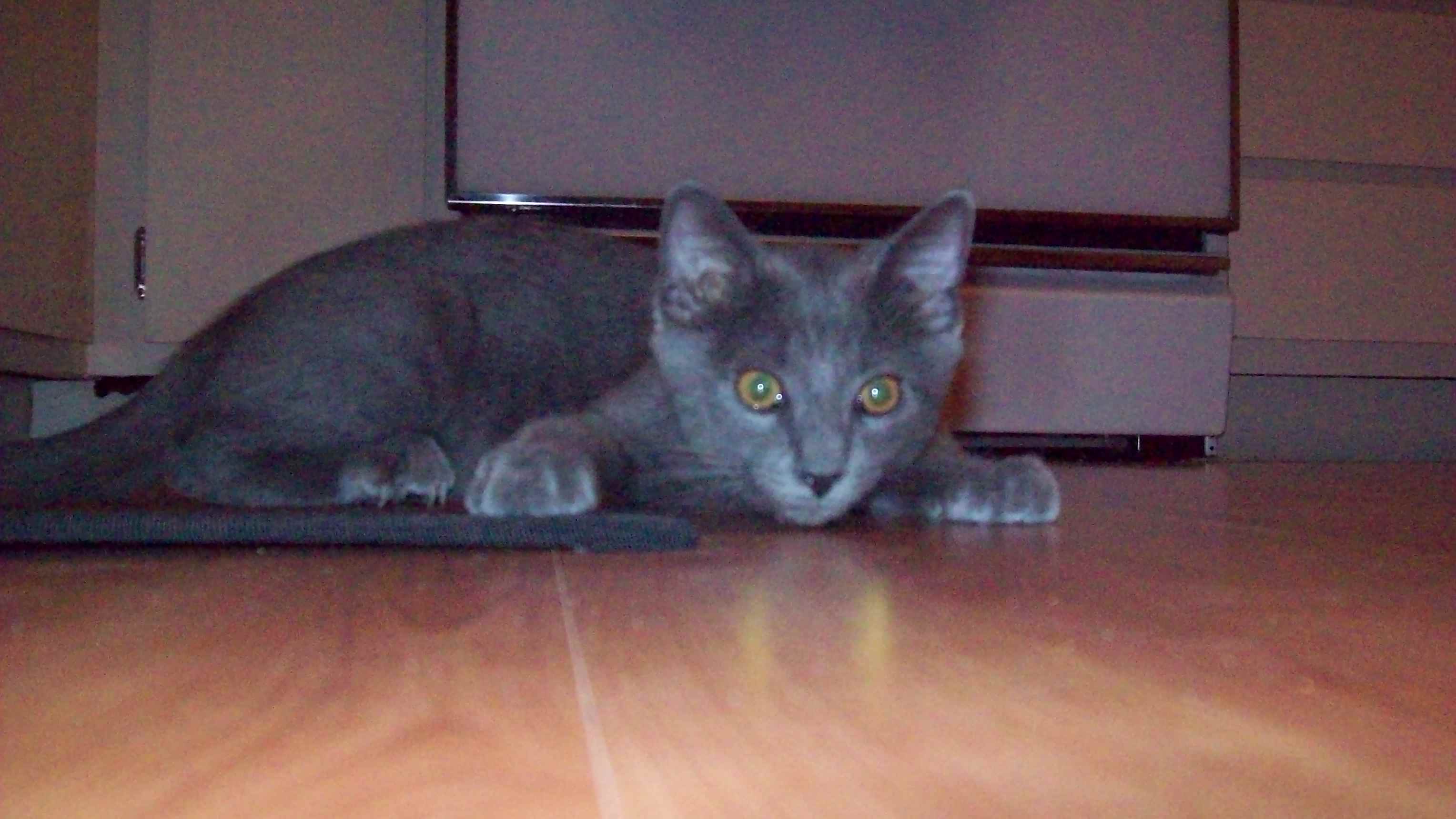 000_0022.jpg