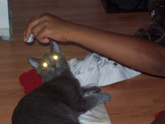 Hurley02.jpg