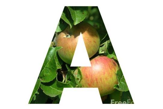 Apple a.jpg