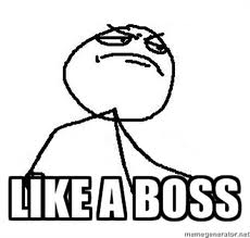 Like a Boss.jpg