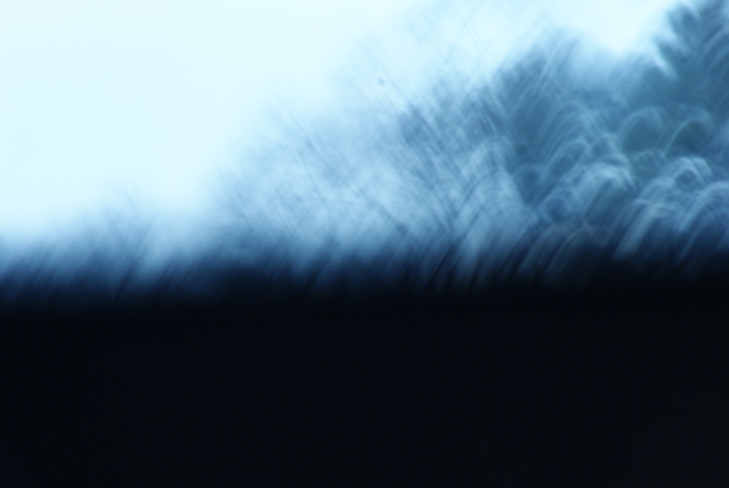 DSC02983.JPG