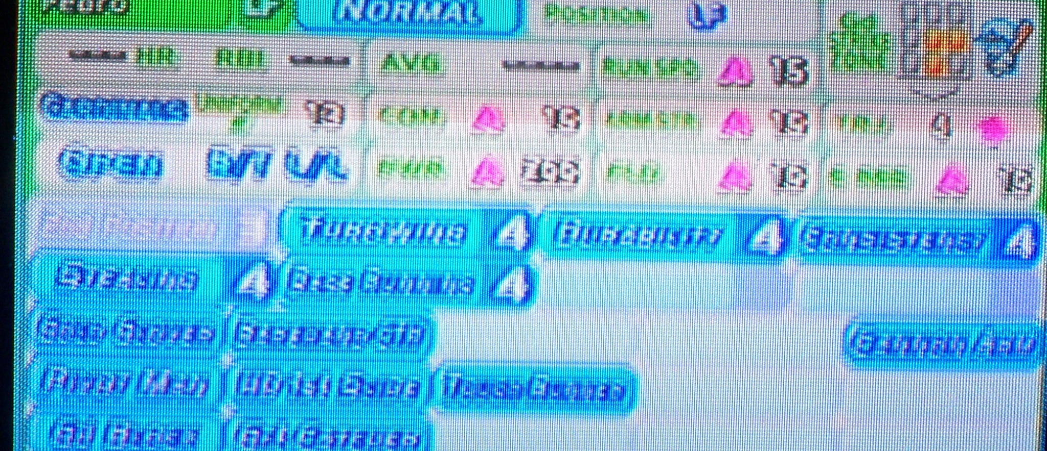 mlbpp08 14.JPG