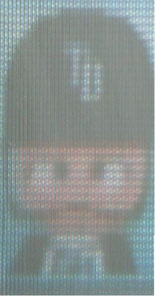 DSCN0619.jpg